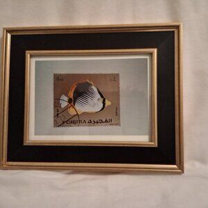 Tropical Fish,  9.5" x 7.5",   framed with glass